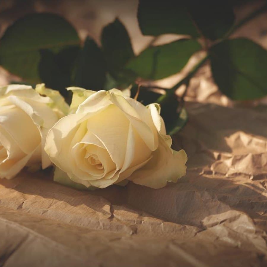 Elegant Pearl Bouquet