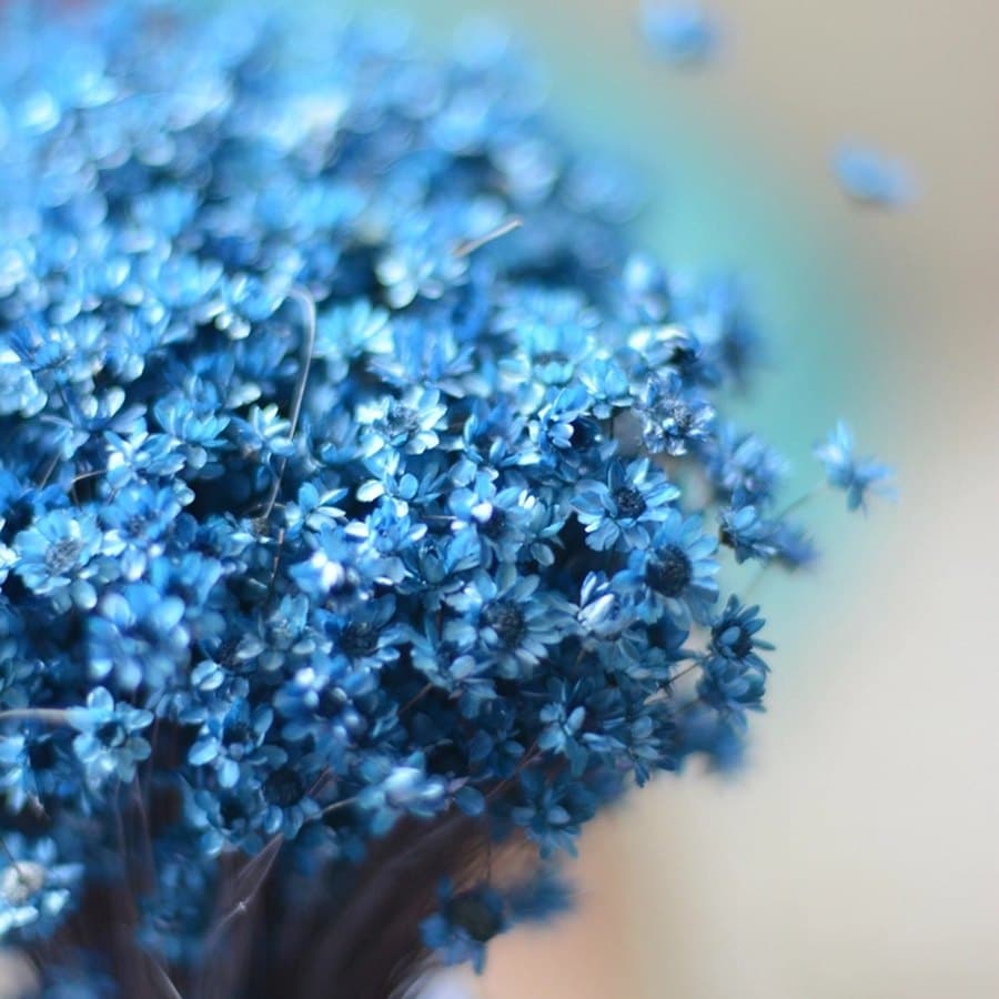 Pastel Blue Bouquet