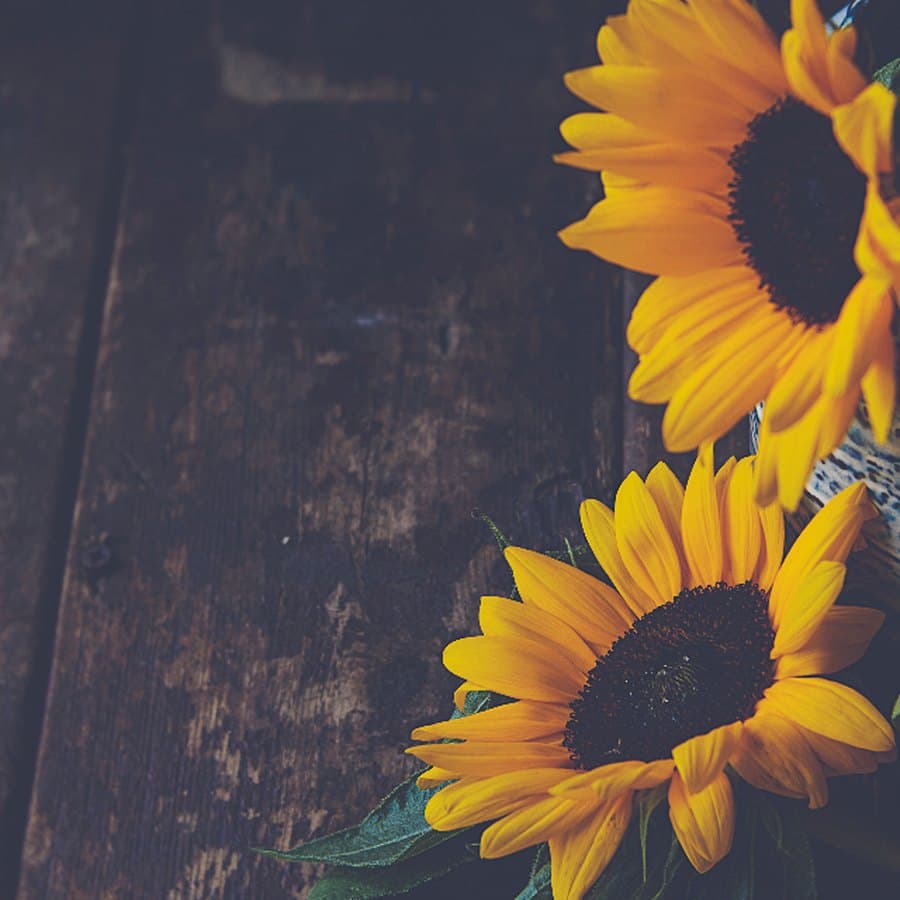 Sunshine Graduation Bouquet
